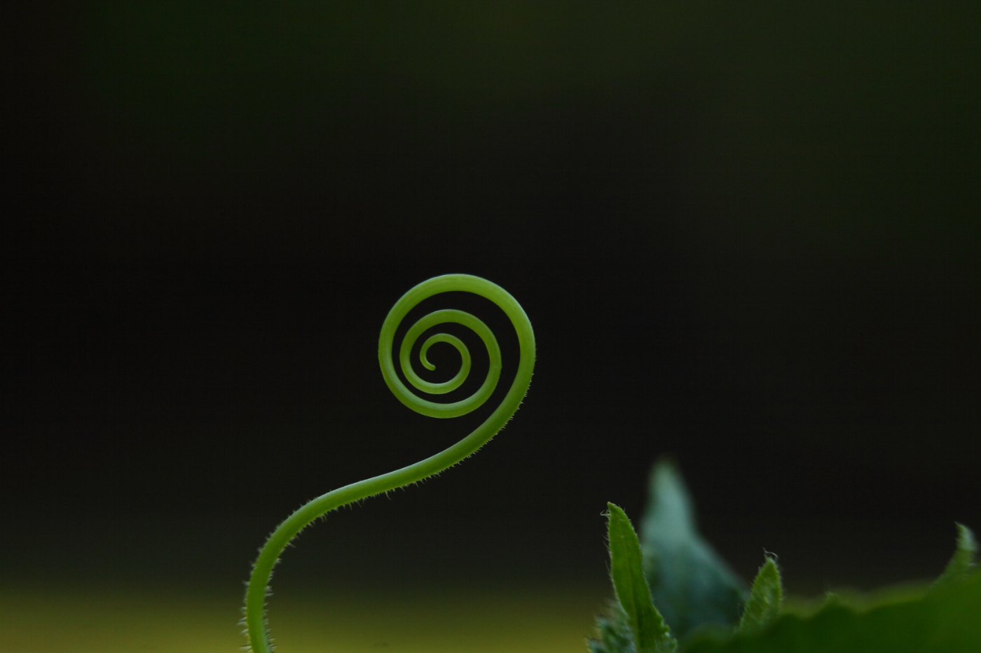2014 07 06 HTP 69889